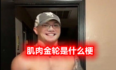 肌肉金轮是什么梗