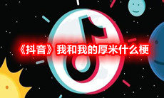 《抖音》我和我的厚米什么梗