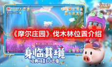《摩尔庄园》伐木林位置介绍