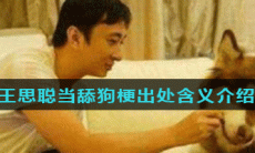 王思聪当舔狗梗出处含义介绍