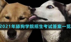 2021年舔狗学院招生考试答案一览