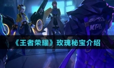 《王者荣耀》玫瑰秘宝介绍