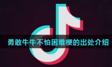 勇敢牛牛不怕困难梗出处含义介绍