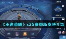《王者荣耀》s25赛季新皮肤介绍