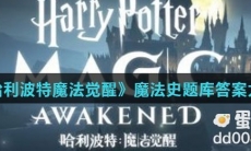 当盖勒特 · 格林德沃打入美国魔法国会时，他的身份是什么