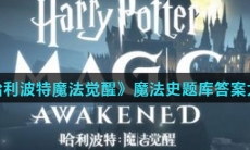 西弗勒斯 · 斯内普的旧《高级魔药制作》里写的什么名字