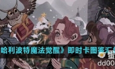 《哈利波特魔法觉醒》即时卡图鉴汇总（持续更新）