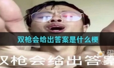 双枪会给出答案是什么梗
