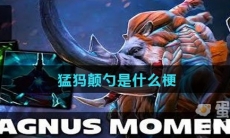 猛犸颠勺是什么梗