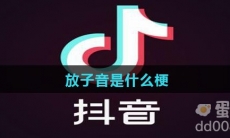 放子音是什么梗