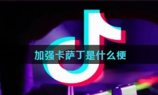 加强卡萨丁是什么梗