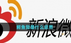 鳄鱼臂是什么意思