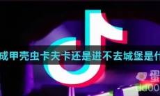 即使变成甲壳虫卡夫卡还是进不去城堡是什么意思