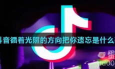 抖音循着光照的方向把你遗忘是什么歌