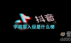 宇将军入侵是什么梗