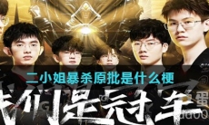 二小姐暴杀原批是什么梗