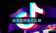 嘉禾望岗是什么梗