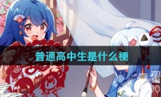 普通高中生是什么梗
