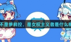 不是萝莉控，是女权主义者是什么梗