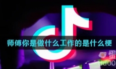 师傅你是做什么工作的是什么梗