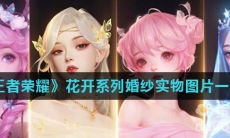 《王者荣耀》花开系列婚纱实物图片一览