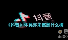 《抖音》怀民亦未寝是什么梗