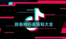 你有柿吗表情包大全