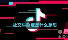 社交牛杂症是什么意思