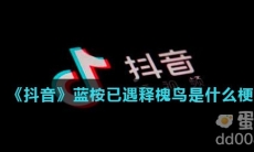 《抖音》蓝桉已遇释槐鸟是什么梗