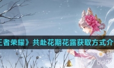 《王者荣耀》共赴花期花露获取方式介绍