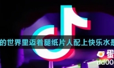 在虚拟的世界里迈着腿纸片人配上快乐水是什么歌