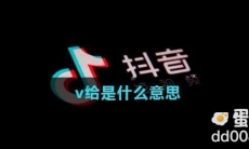 v给是什么意思