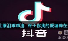 傻瓜别让眼泪乖乖流终于你我的爱埋葬在是什么歌