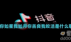 你如星我如月你善良我皎洁是什么歌