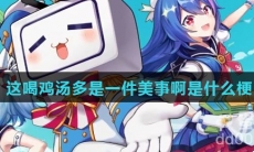 这喝鸡汤多是一件美事啊是什么梗