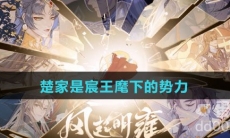 楚家是宸王麾下的势力