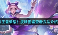 《王者荣耀》皮肤图鉴查看方法介绍