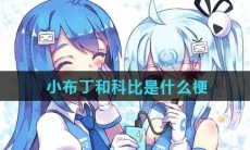 小布丁和科比是什么梗