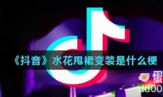 《抖音》水花甩裙变装是什么梗