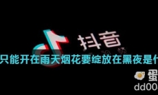 水花只能开在雨天烟花要绽放在黑夜是什么歌