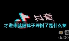 才进来就被裤子绊倒了是什么梗