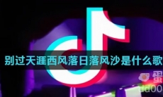 别过天涯西风落日落风沙是什么歌