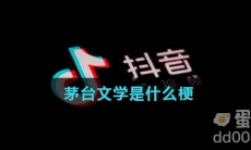 茅台文学是什么梗