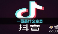 一薇是什么意思