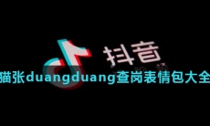 什么猫张duangduang查岗表情包大全