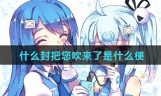 什么封把您吹来了是什么梗