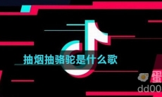 抽烟抽骆驼是什么歌