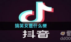 搞笑女是什么梗