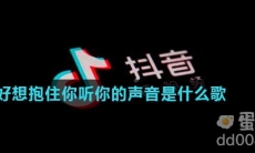 好想抱住你听你的声音是什么歌
