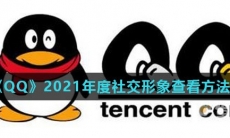 《QQ》2021年度社交形象查看方法